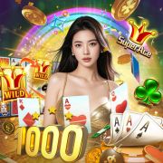 spinbookie com
