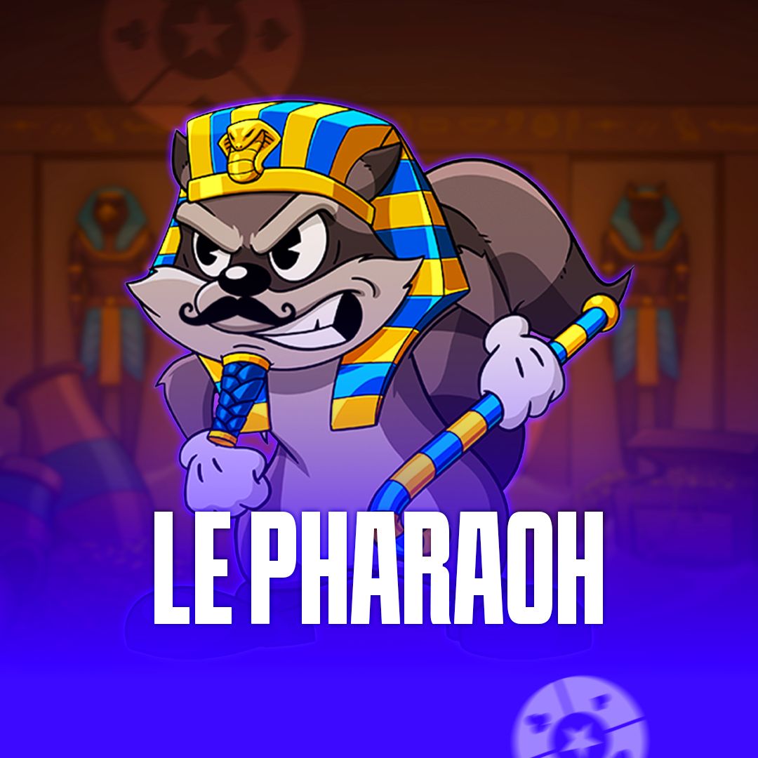 pxxbet
