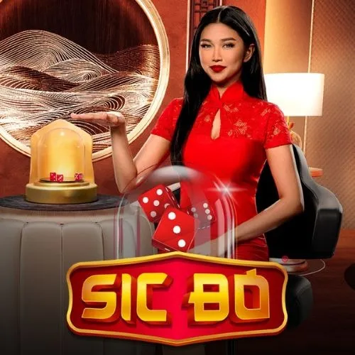 7755bet com